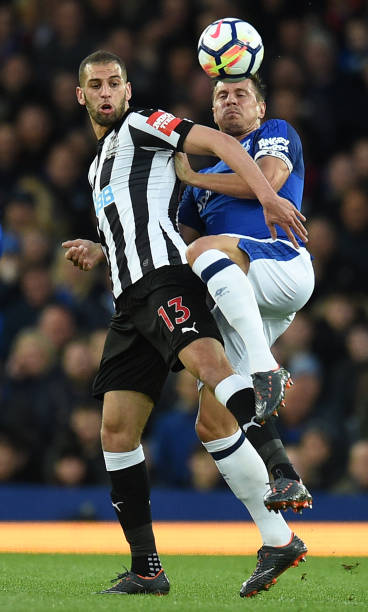 关注法甲尼 关注法甲尼