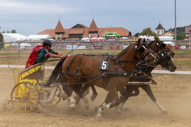 以哈尔滨冰 以哈尔滨冰